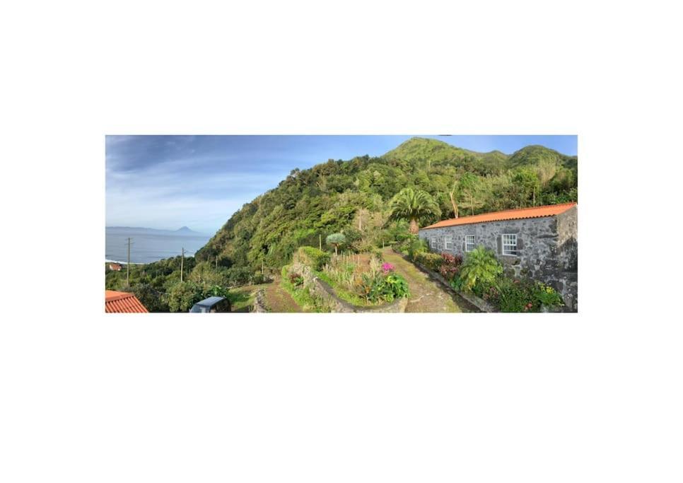 Vistalinda Farmhouse Faja dos Vimes Ngoại thất bức ảnh