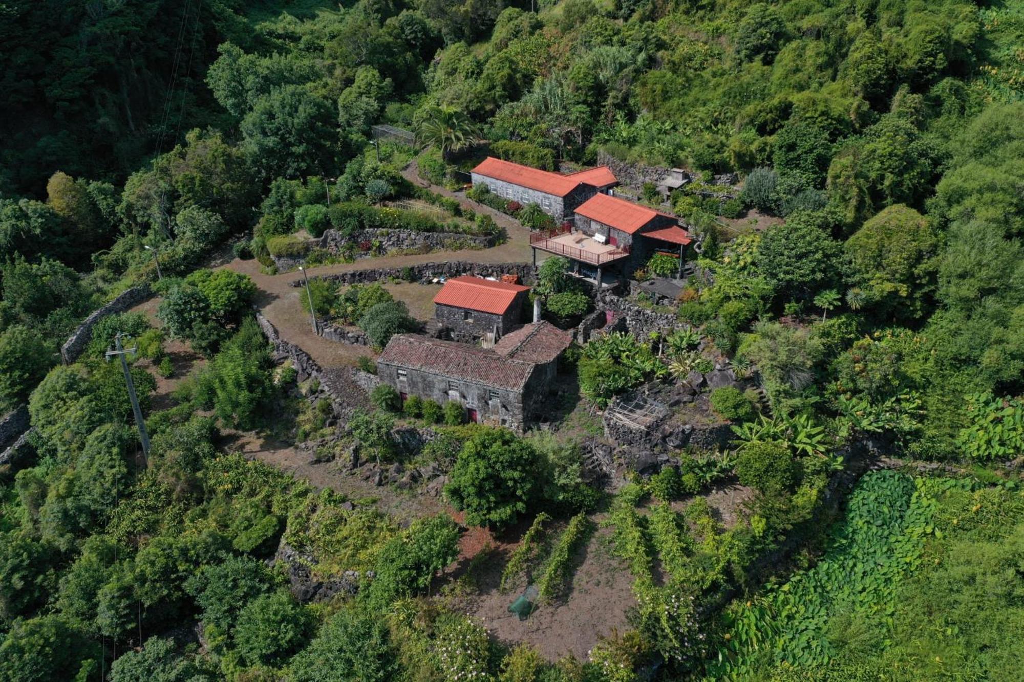 Vistalinda Farmhouse Faja dos Vimes Ngoại thất bức ảnh